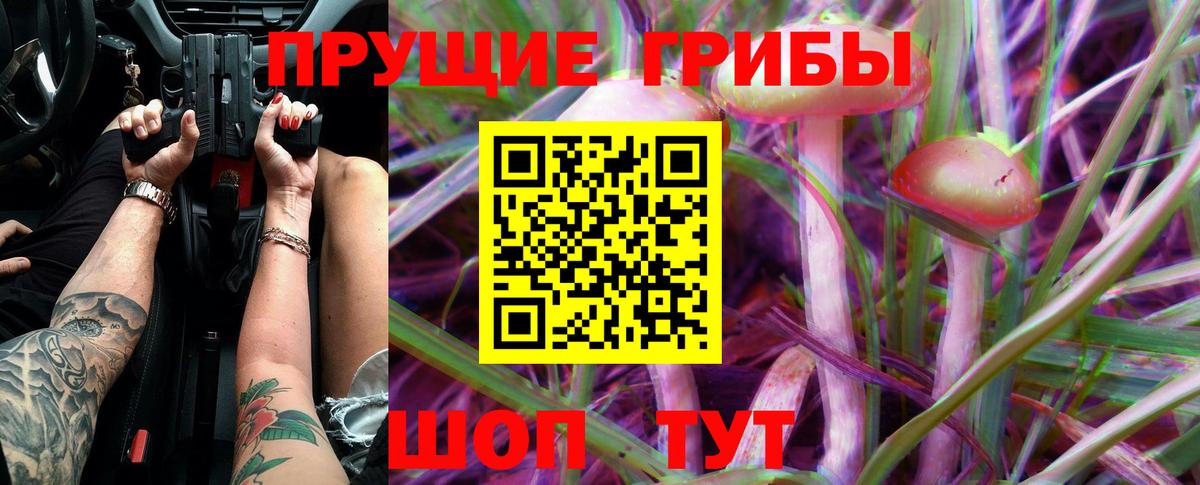 Галлюциногенные грибы Cubensis Ялуторовск